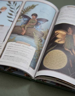 Natura Selection Historia Natural De Las Hadas Online