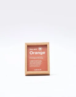 Natura Selection Mini Marco 