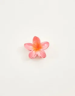 Natura Selection Pinza Pelo Flor Sale