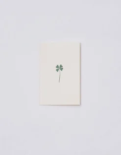 Natura Selection Postal Papel Con Sobre Best