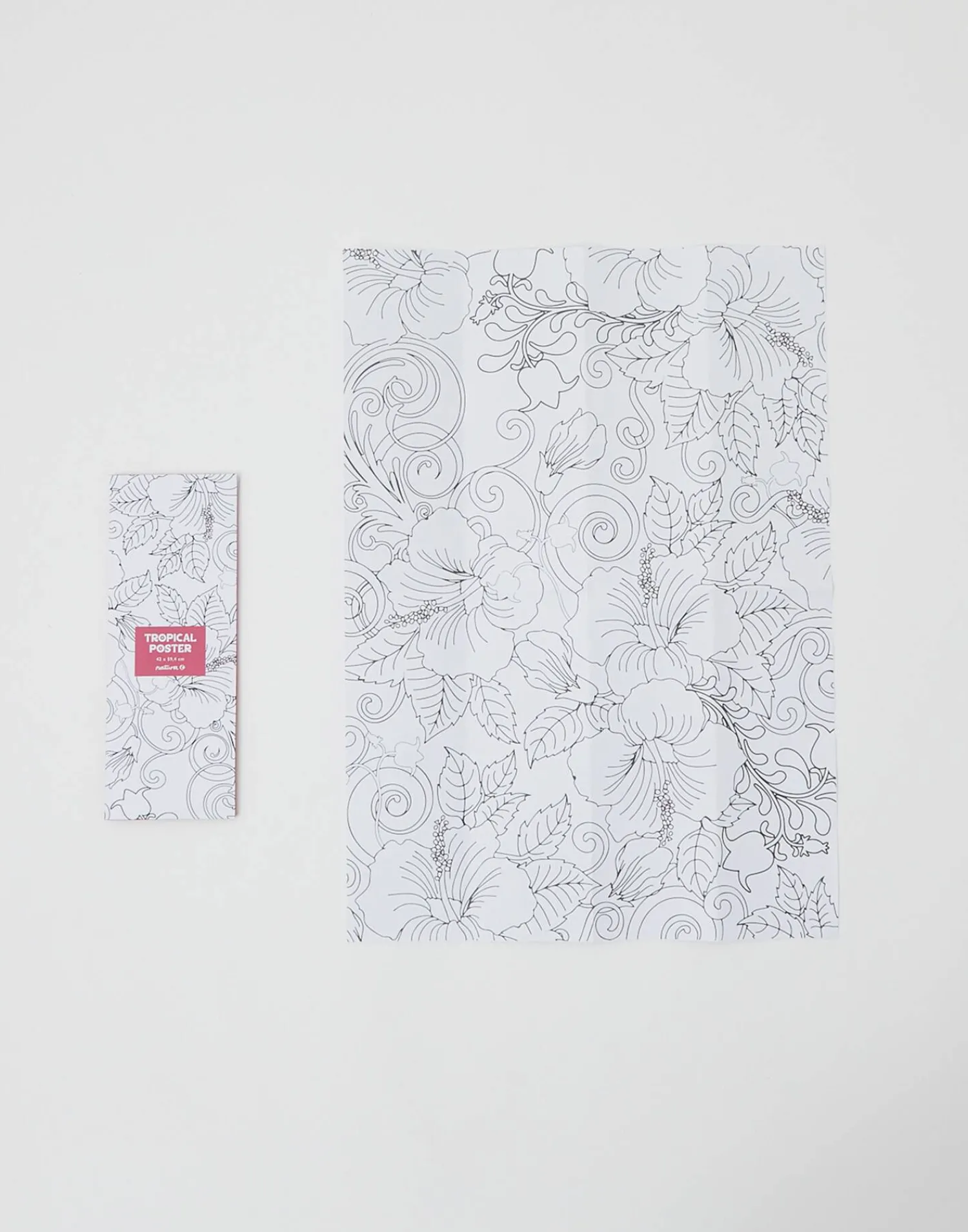 Natura Selection Póster Para Colorear