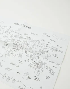 Natura Selection Póster Para Pintar Best