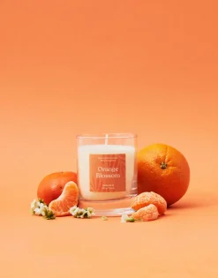 Natura Selection Vela Natura 200g Online