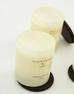 Natura Selection Vela Vaso Premium Con Tapa Cerería Mollá Outlet