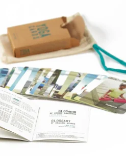 Natura Selection Yoga Cards Best